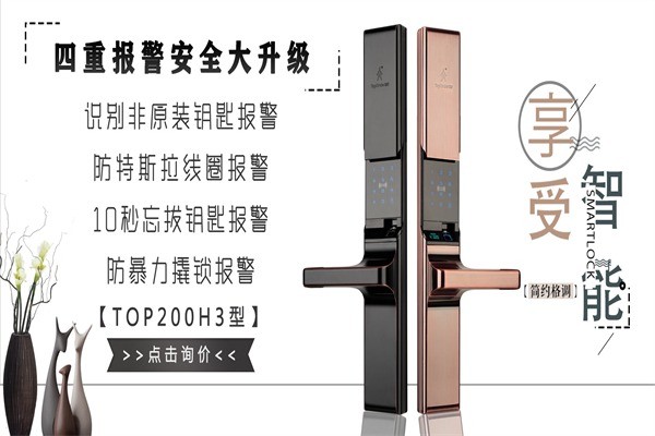 顶吉无孔智能锁